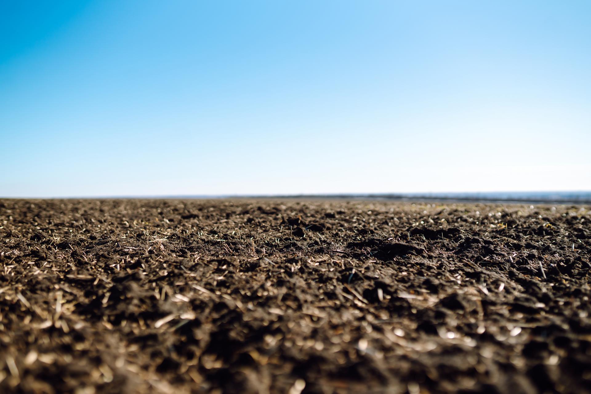 Vie biologique du sol préservée par le travail superficiel