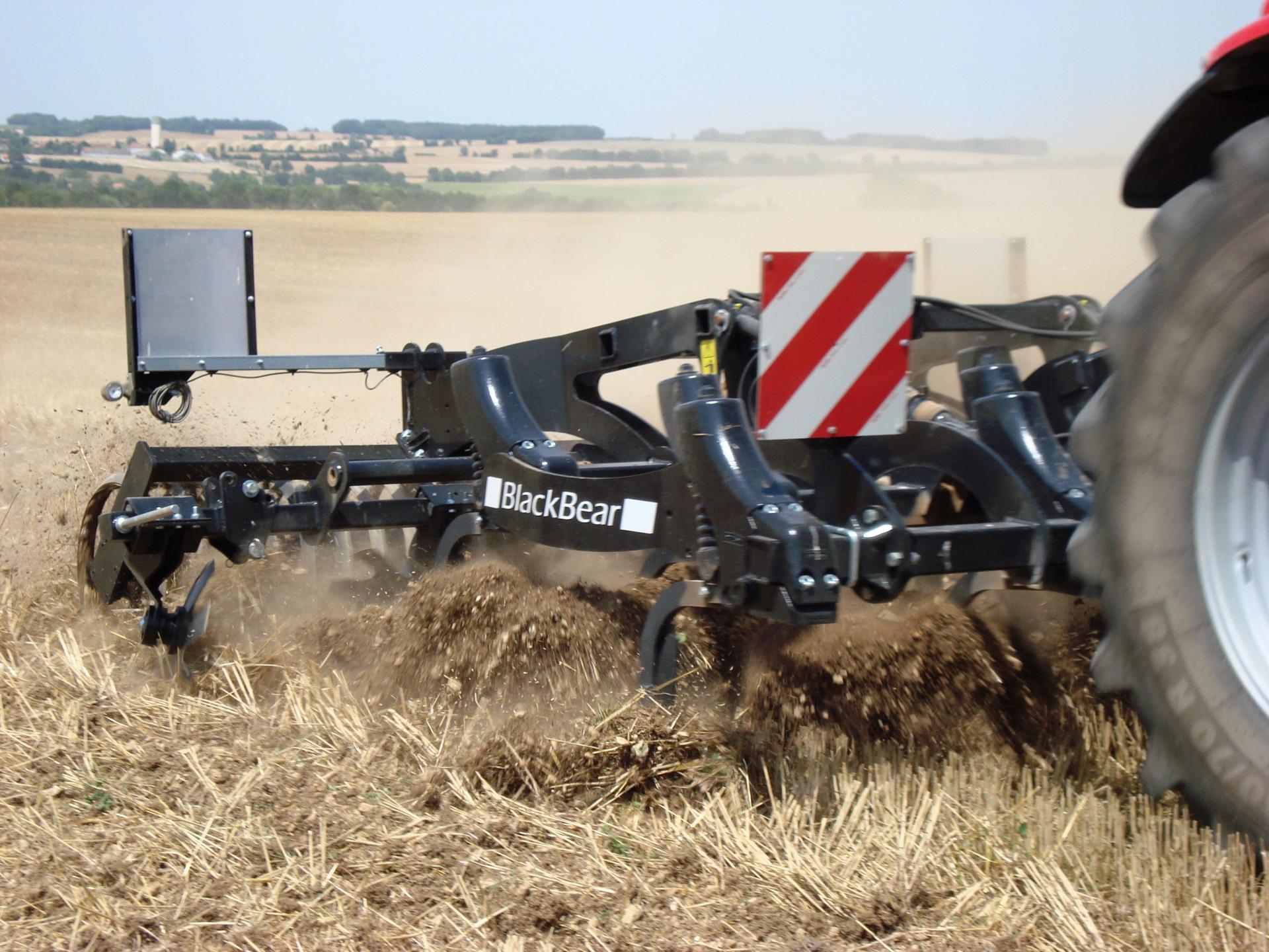 BLACKBEAR Quivogne - d&eacute;chaumeur &agrave; dents lourd en action