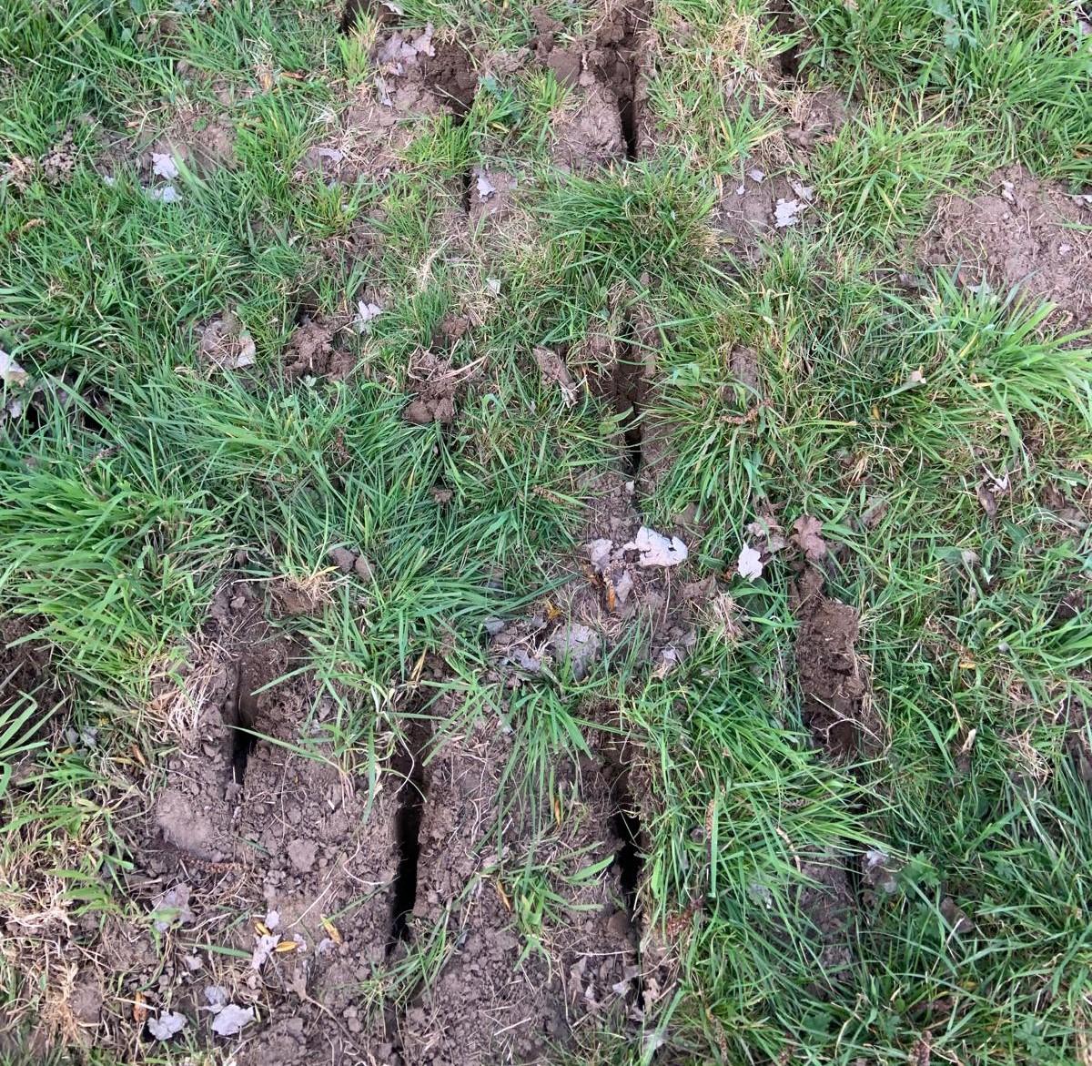 R&eacute;sultat d'a&eacute;ration de prairie apr&egrave;s passage du ROLL AER